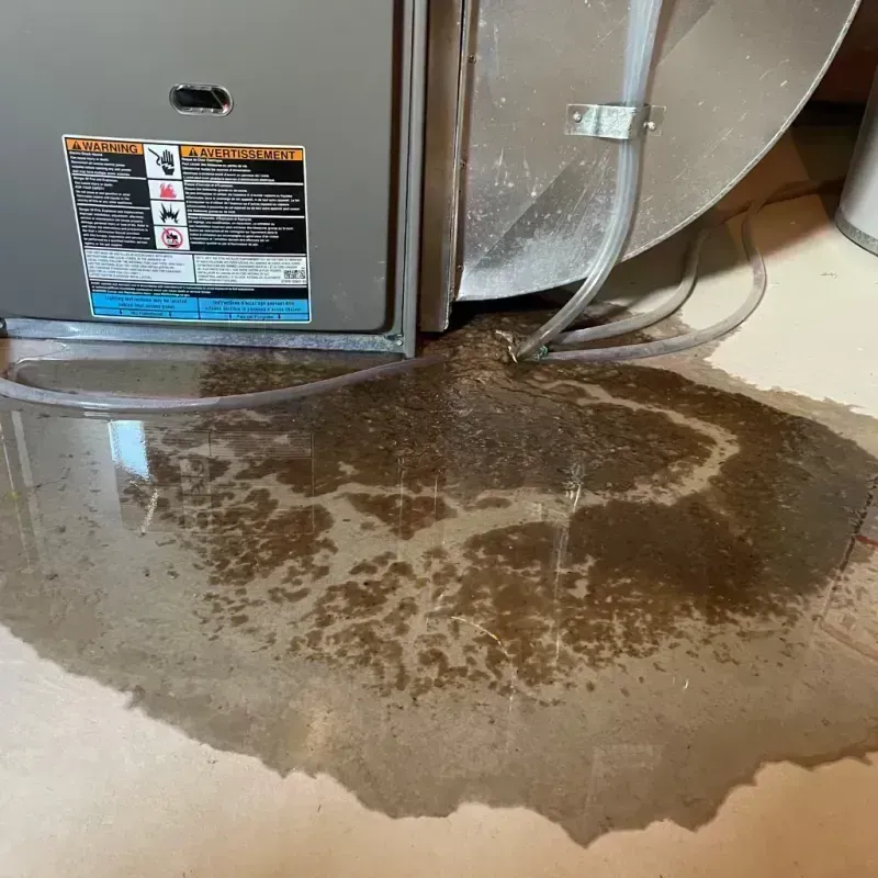 Appliance Leak Cleanup in Lacon, IL